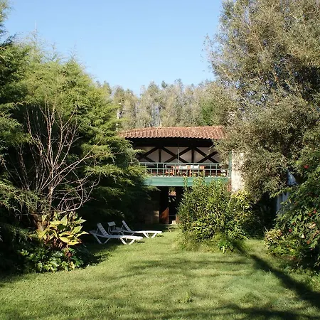 Casa Do Salgueirinho Viana do Castelo