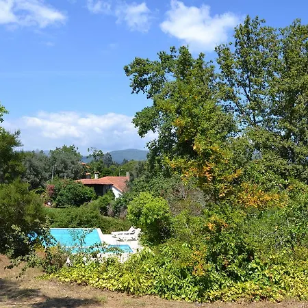 Casa Do Salgueirinho Holiday home *
