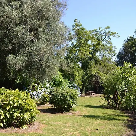 Сasa de vacaciones Casa Do Salgueirinho *